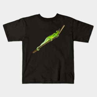 Chillin’ Like A Chameleon Kids T-Shirt